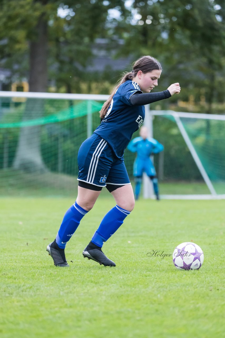 Bild 128 - B-Juniorinnen SV Henstedt Ulzburg - Hamburger SV : Ergebnis: 2:3